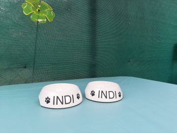 1176617592865944826356497410249967068488842n 1