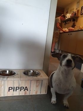 1181149512975756115415266635390190061828801n