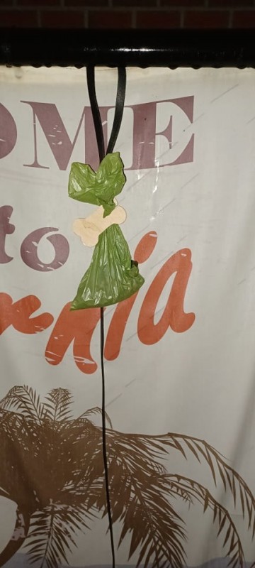 2537048909581562682447428720713670285053439n