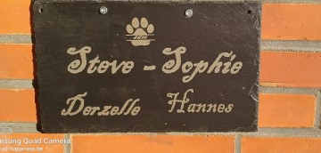 31551940511243618682059382338831192274268285n