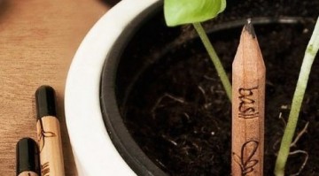 Sprout pencil 470x260